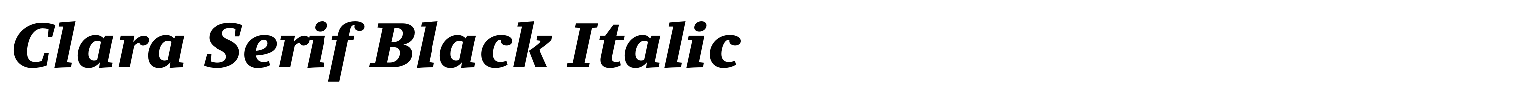 Clara Serif Black Italic